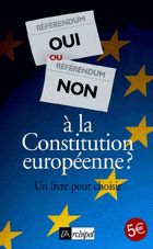 Oui ou non à la constitution européenne?