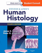 Stevens & Lowe's human histology.