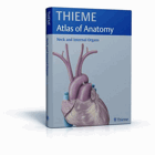 Atlas of anatomy - neck and internal organs.