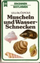 Muscheln und Wasser-Schnecken