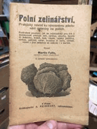 Polní zelinářství