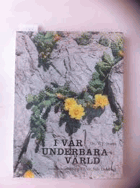 I vår underbara värld