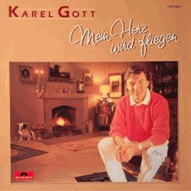 Mein Herz Wird Fliegen