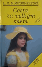 Cesta za velkým snem - Román pro dívky