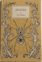 A Book of Spiders