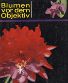 Blumen vor dem Objektiv