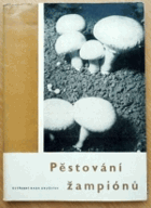 Pěstování žampiónů.