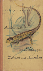 Das kleine Buch von Schlangen,Echsen und Lurchen
