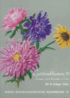 Gartenblumen IV. Sommerflor 2 einschließlich Herbstflor