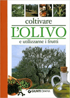 Coltivare l'olivo e utilizzarne i frutti