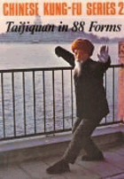 Taijiquan in 88 forms