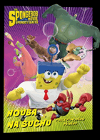 Houba na suchu