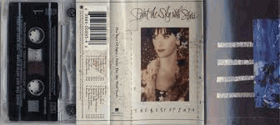 The Best Of Enya -  Paint The Sky With Stars