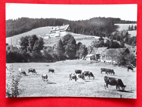 Velké Karlovice na Valašsku, zotavovna Tatra,  okres Vsetín (pohled)