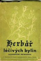 Obálka