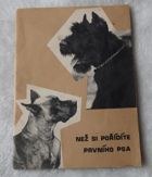 Než si pořídíte prvního psa.
