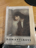 Romantikové. Rom. mládí, lásky a odvahy vyhnance domova