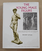 The Young Male Figure in paintings
