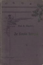 Ze života hmyzu Hmyz Entomologie Barvotisky