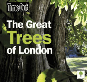 Great Trees of London