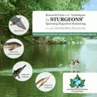 Research Tools and Techniques for sturgeons Spawning Migration Monitoring. Danube River