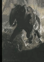 Dobrodružný svět Zdeňka Buriana Ondřej Müller, Rostislav Walica