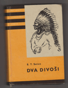 Dva divoši. O dobrodružstvích dvou chlapců, kteří žili jako Indiáni, a o tom, co všechno ...