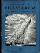 Bílá velryba BEZ PŘEBALU