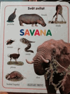 Svět zvířat Savana