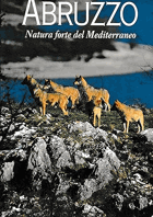 Abruzzo. Natura forte del Mediterraneo. Testo in Inglese e Italiano