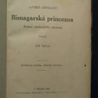 Bisnagarská princezna - román venkovského studenta