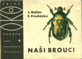 Naši brouci OKO Entomologie Hmyz