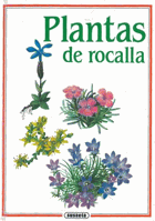 Plantas de rocalla