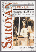 Odvážný mladý muž na létající hrazdě