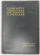 Rauber's Lehrbuch der Anatomie des Menschen in 6 Abteilungen, Abteilung 3