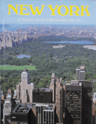 NEW YORK A Picture Book to Remember Her by