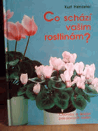 Co schází vašim rostlinám? - choroby a škůdci pokojových rostlin