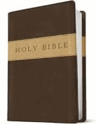 Holy Bible - New Living Translation, Dark Brown/Tan, Tutone, LeatherLike, Gift and Award