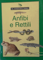 Obálka