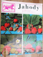 JAHODY