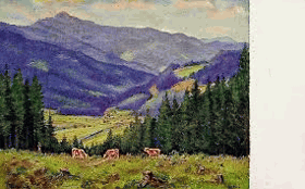 Obálka