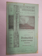 Drobnohled ve službách mineralogie