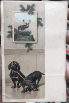 PES LOVEC HUNDE JÄGER DOG HUNTER Les