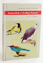 Common birds of the Malay Peninsula.
