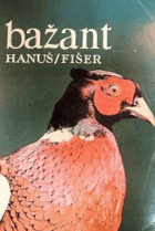 BAŽANT