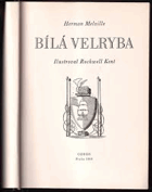 Bílá velryba