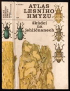 Škůdci na jehličnanech Atlas lesního hmyzu Hmyz Entomologie