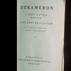 DEKAMERON 1 kterýž napsal messer Giovanni Boccaccio a z vlaštiny přeložil Arnošt Procházka.