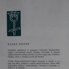 Ruské byliny