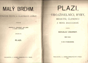 Obálka